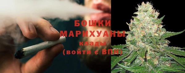 PSILOCYBIN Алексеевка