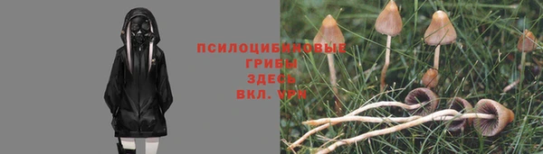дживик Алексин