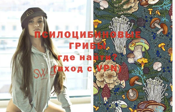 PSILOCYBIN Алексеевка