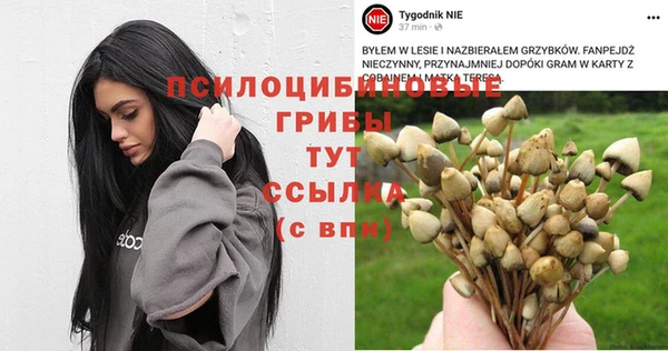 не бодяженный Алзамай