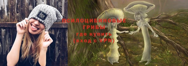 PSILOCYBIN Алексеевка