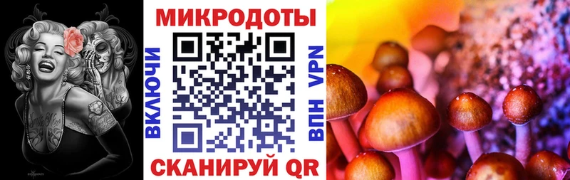 цена наркотик  Сураж  Псилоцибиновые грибы мицелий 