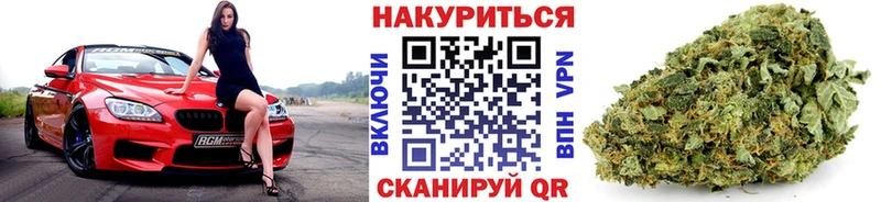 закладки Сураж блэк спрут рабочий сайт Бошки Шишки сатива